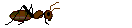 animated-ant.gif