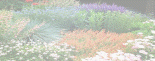 gw_-mr2044011.gif